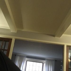 Meet your Posher, Owen